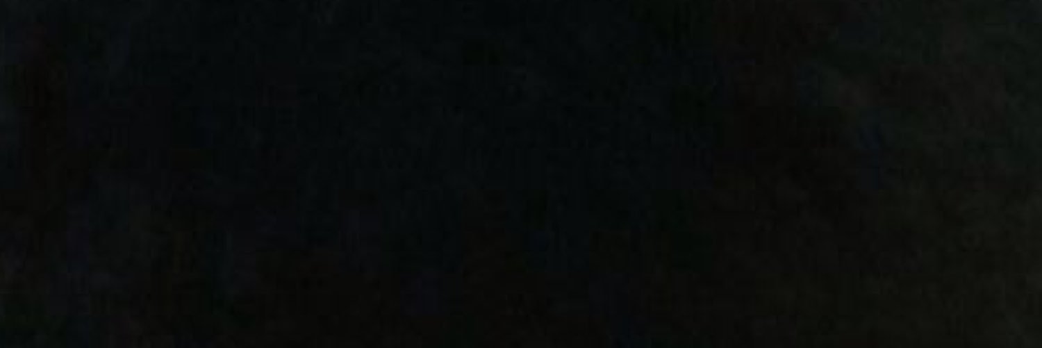 seaweasels's profile banner image
