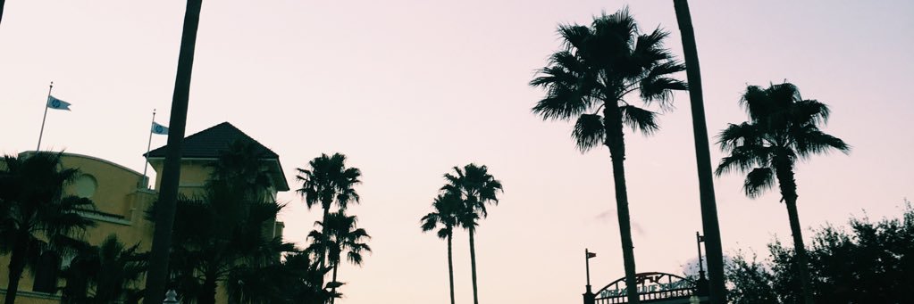 sara_sabol's profile banner image