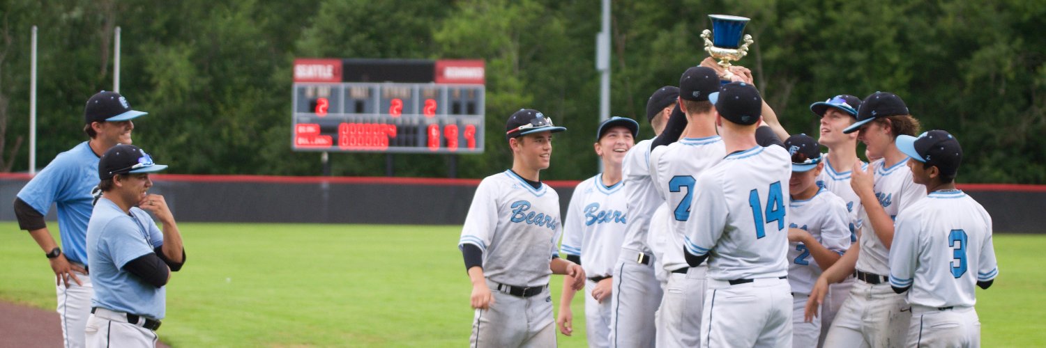 The Bears BBC banner