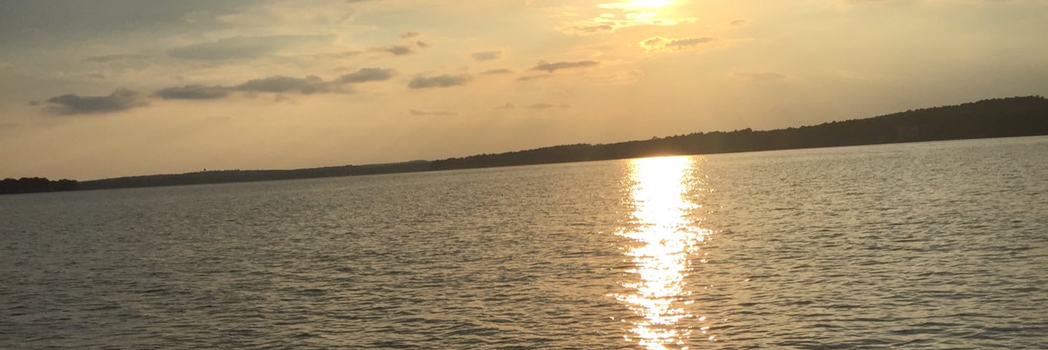 allison carter banner