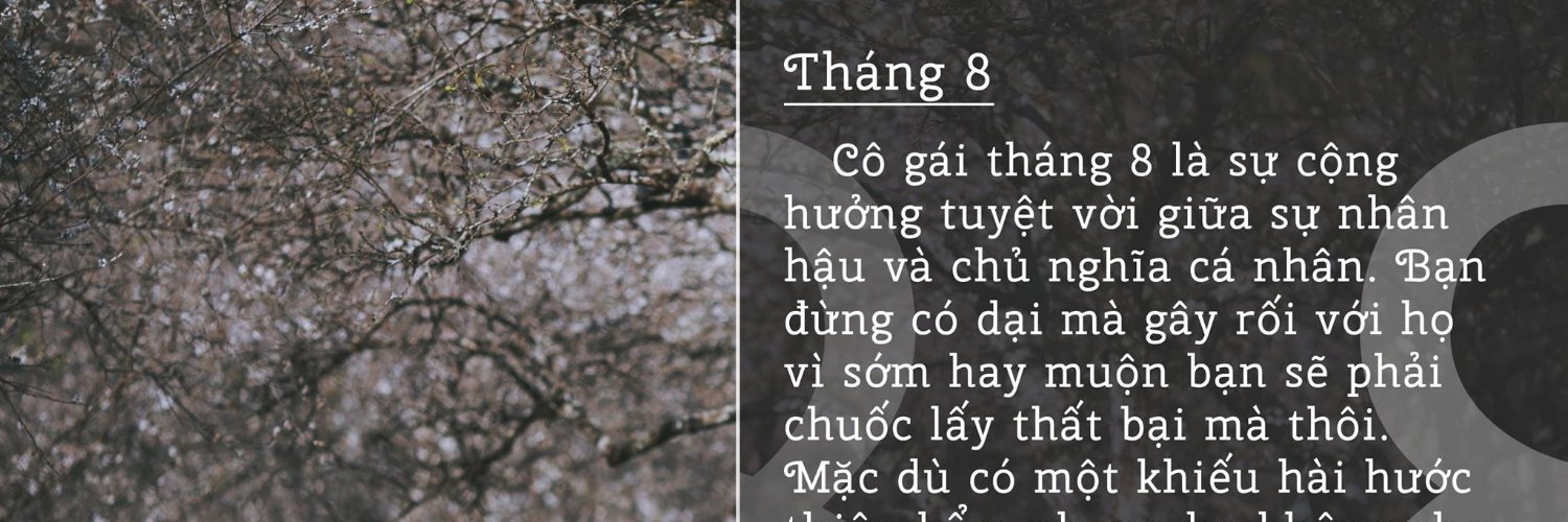 lopez yonathan banner