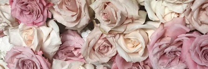 PrincesssJazz69's profile banner image