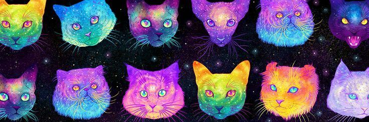 isabellelarie's profile banner image