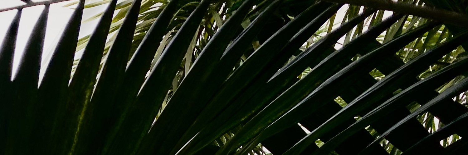 adorabrit's profile banner image