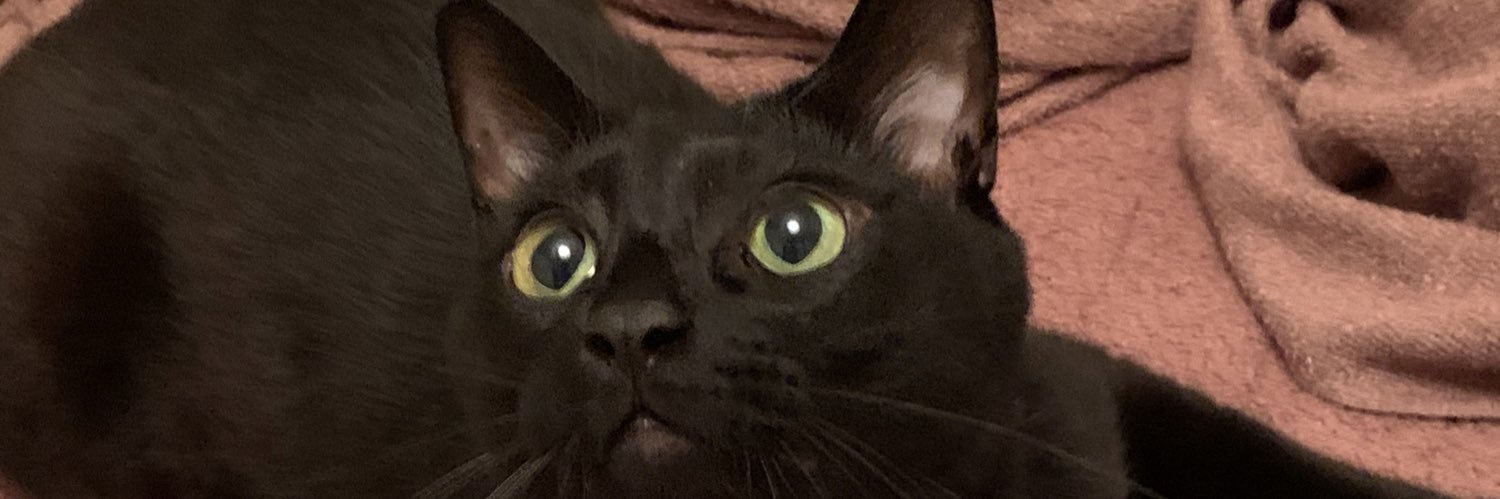 yusanh's profile banner image