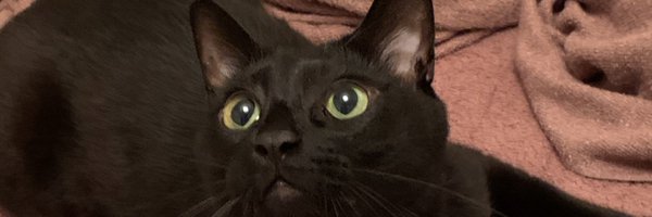 yusanh Profile Banner