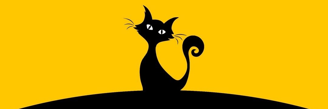 simarkicul's profile banner image