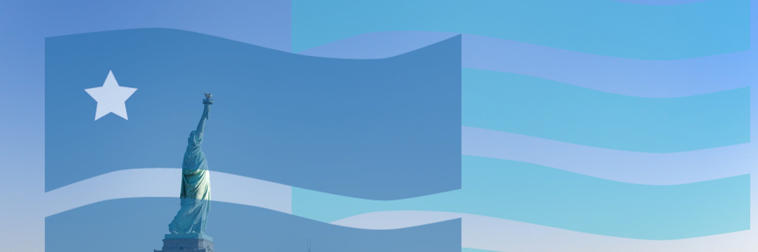 Fems for Dems banner