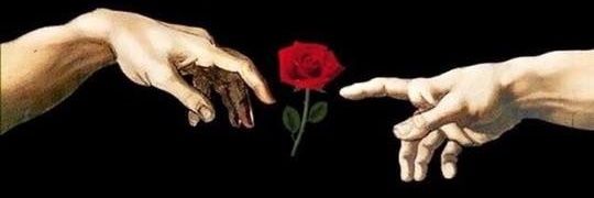 Tonycas97's profile banner image