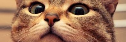 giu7cam's profile banner image