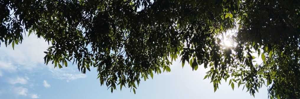 barrera_giba's profile banner image