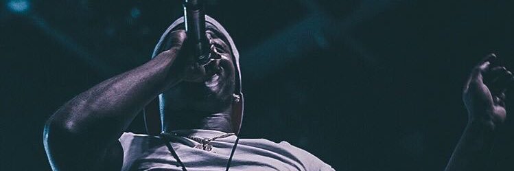 TWIN IN THIS 🅱️itch LLC banner