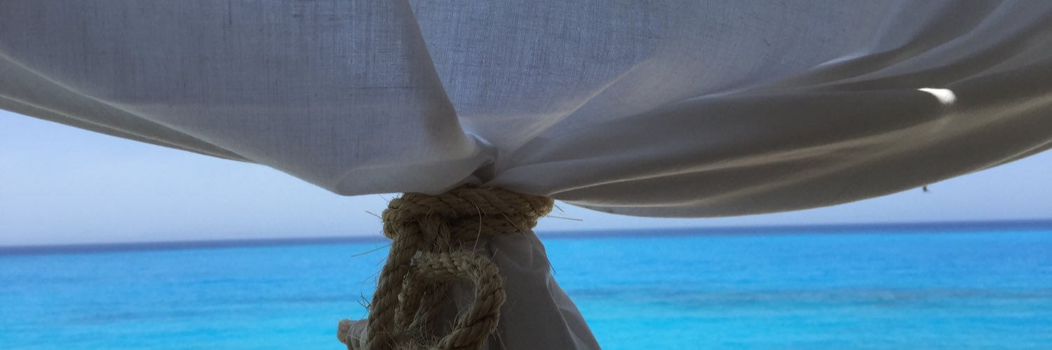 zenogovoni's profile banner image