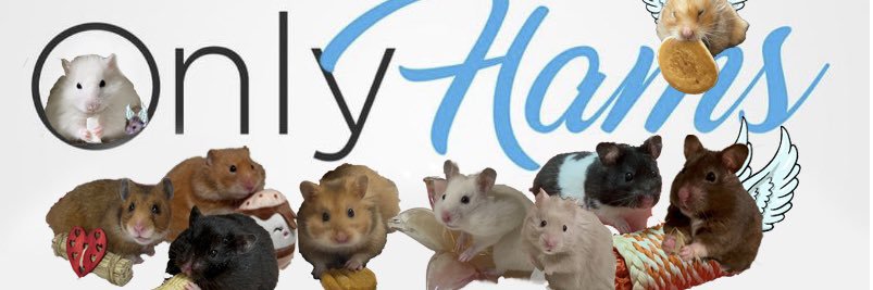 🐹OnlyHams🐹 & other pets banner