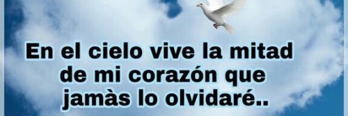 beatriz_1978's profile banner image