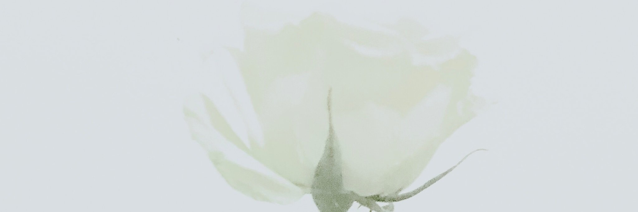 lenzylen's profile banner image