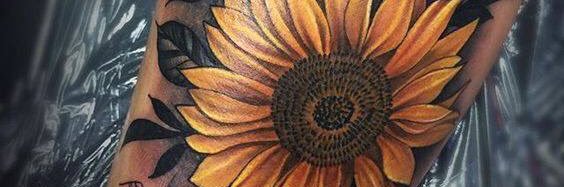 KaitlynVenable's profile banner image
