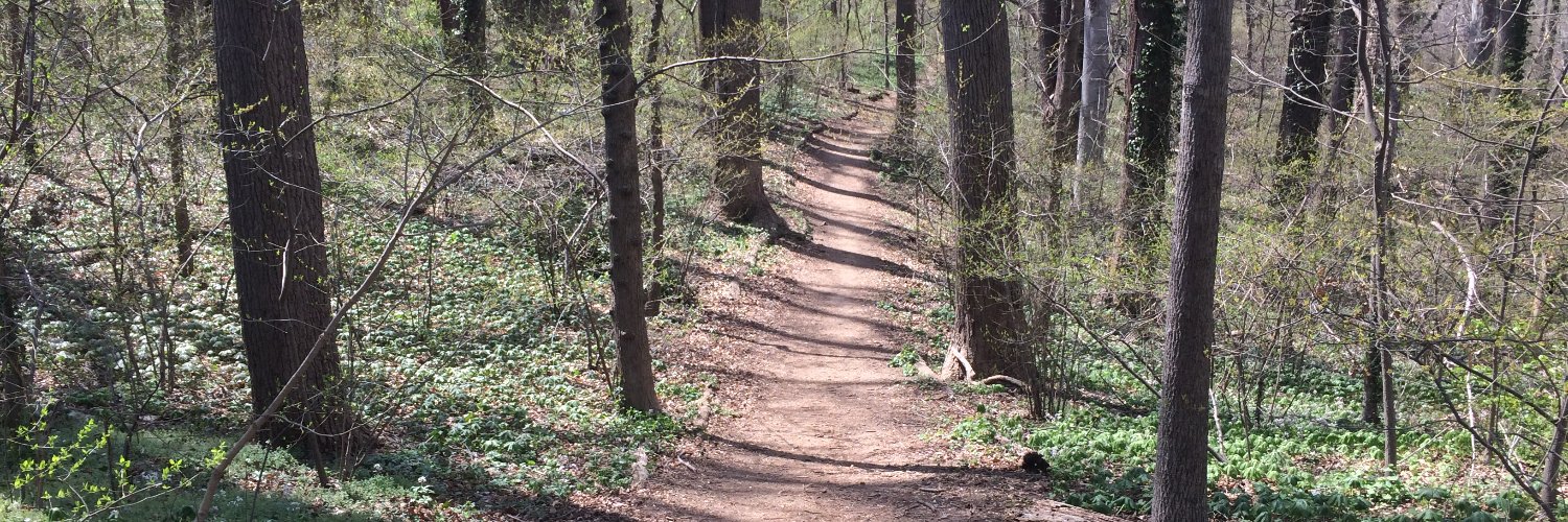 Michael D. Purzycki banner