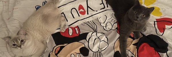 yasminis Profile Banner