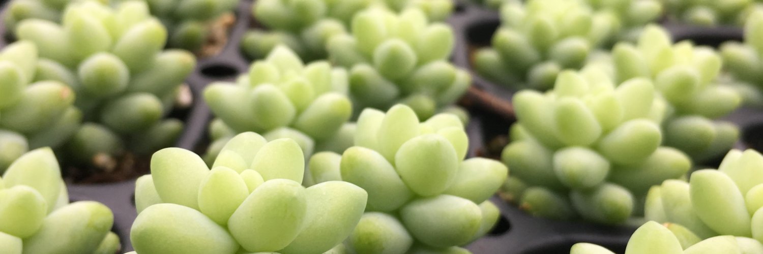 MicandyGardens's profile banner image
