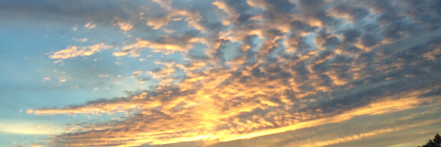 Emme_boykin's profile banner image