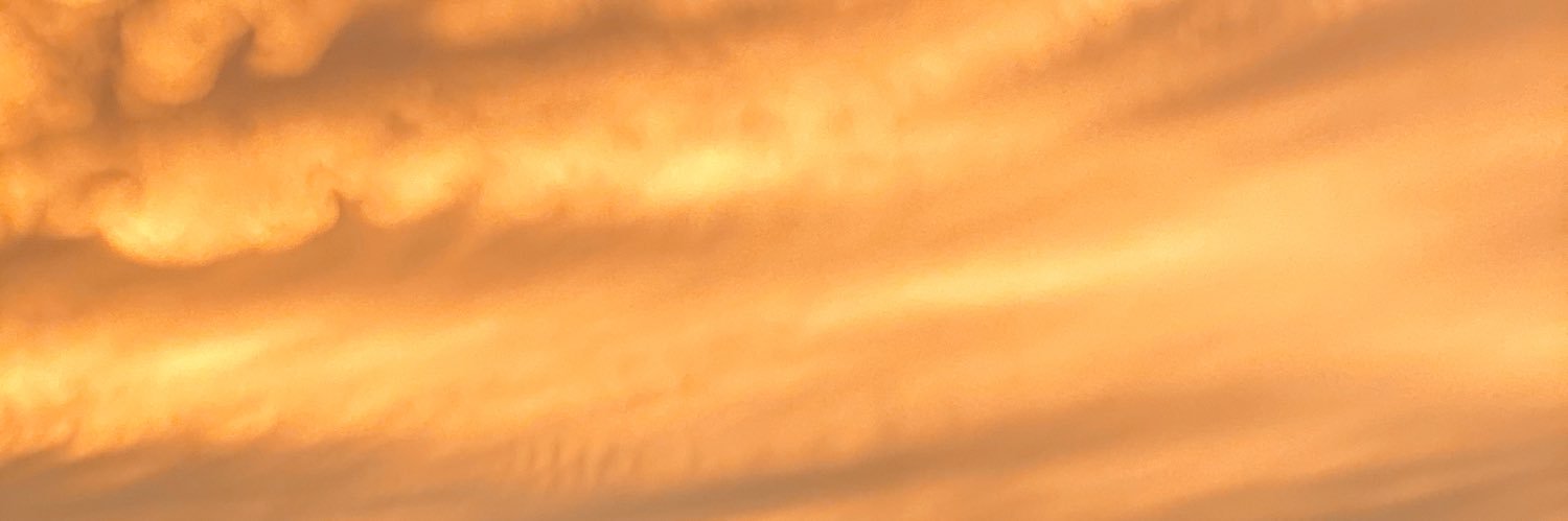 PaytonDodds's profile banner image