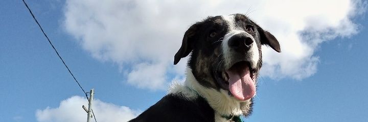 edumora3's profile banner image