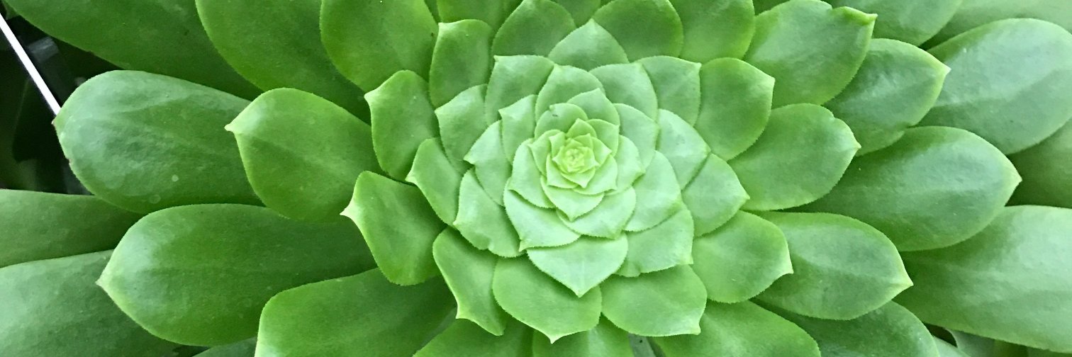 GillianSpo's profile banner image
