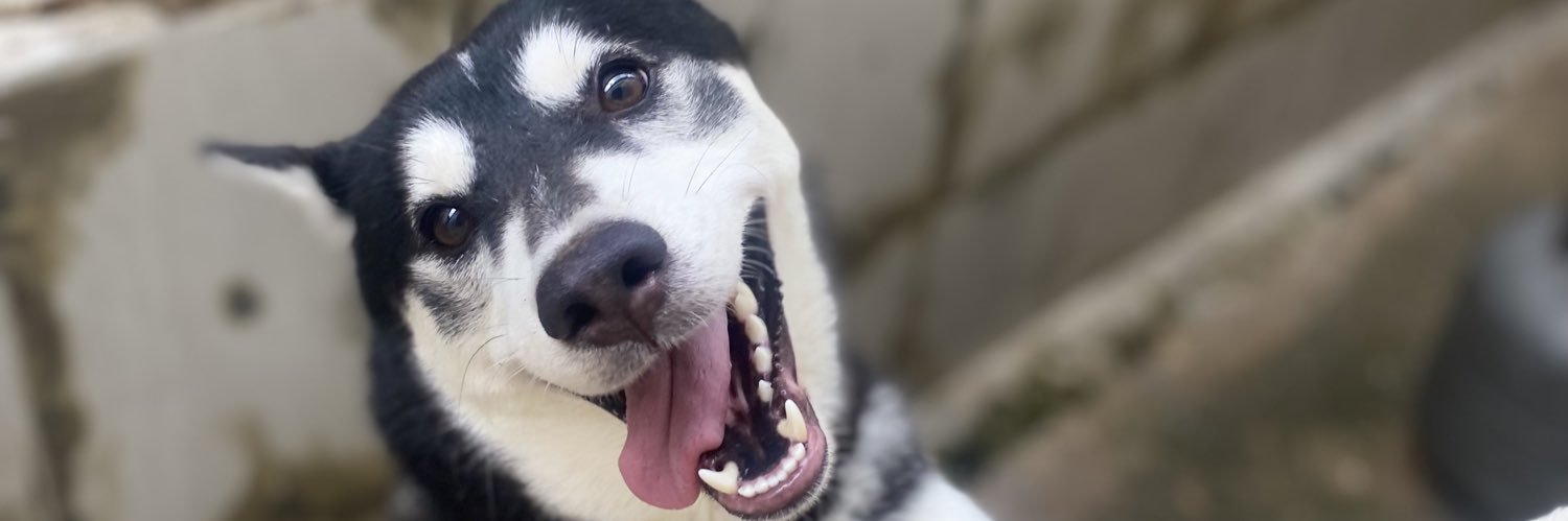 Marco Antônio banner