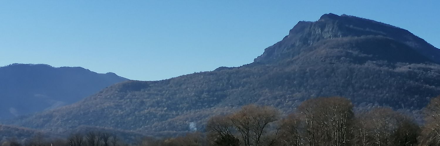 Roser Saurí banner