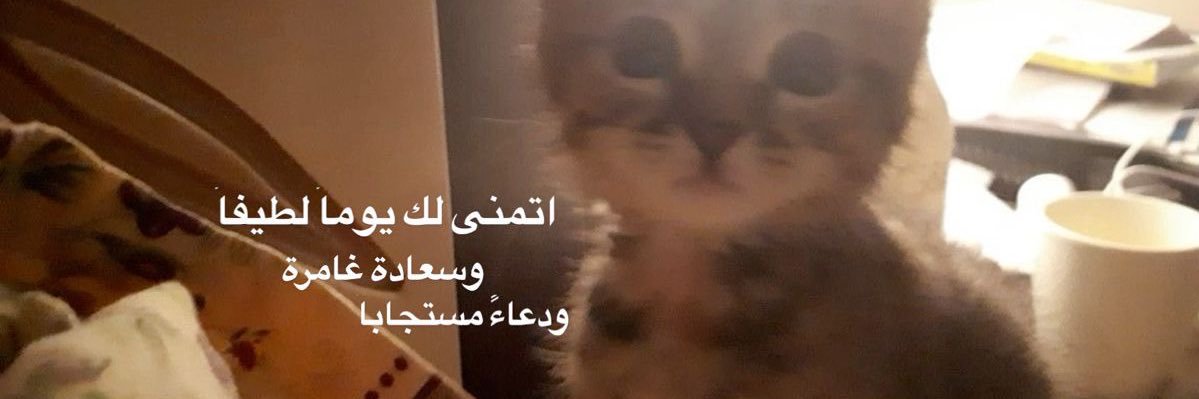 طه الغريب banner