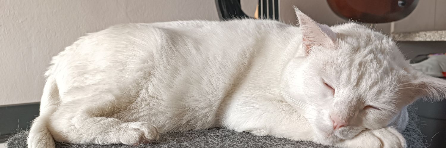 Jesse 'Cloudburst' McConnell banner