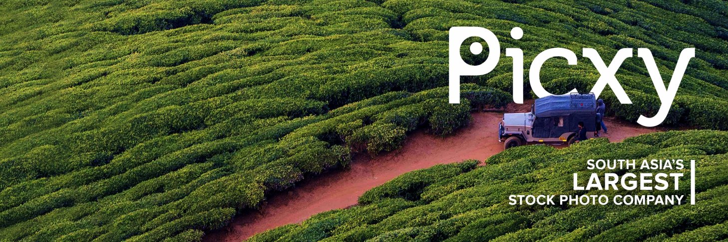 Picxy banner