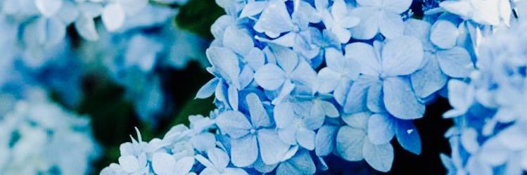 ChelseaBunce's profile banner image