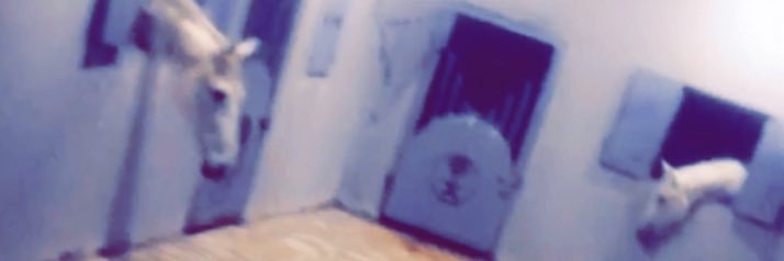 s_albryk's profile banner image