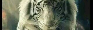 Leonardvel07's profile banner image
