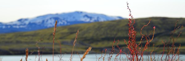 mcolomerr Profile Banner