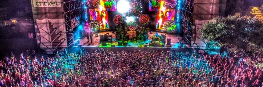 thenewbackyard's profile banner image