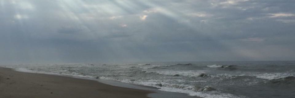 MrsEMcKnight's profile banner image