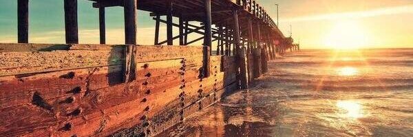 FelFalc Profile Banner