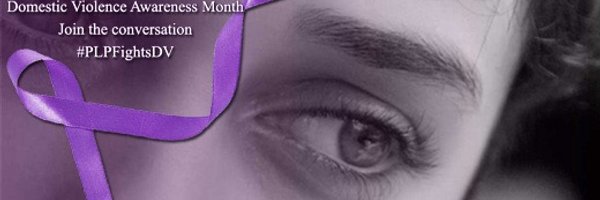 PurpleLotusProj Profile Banner