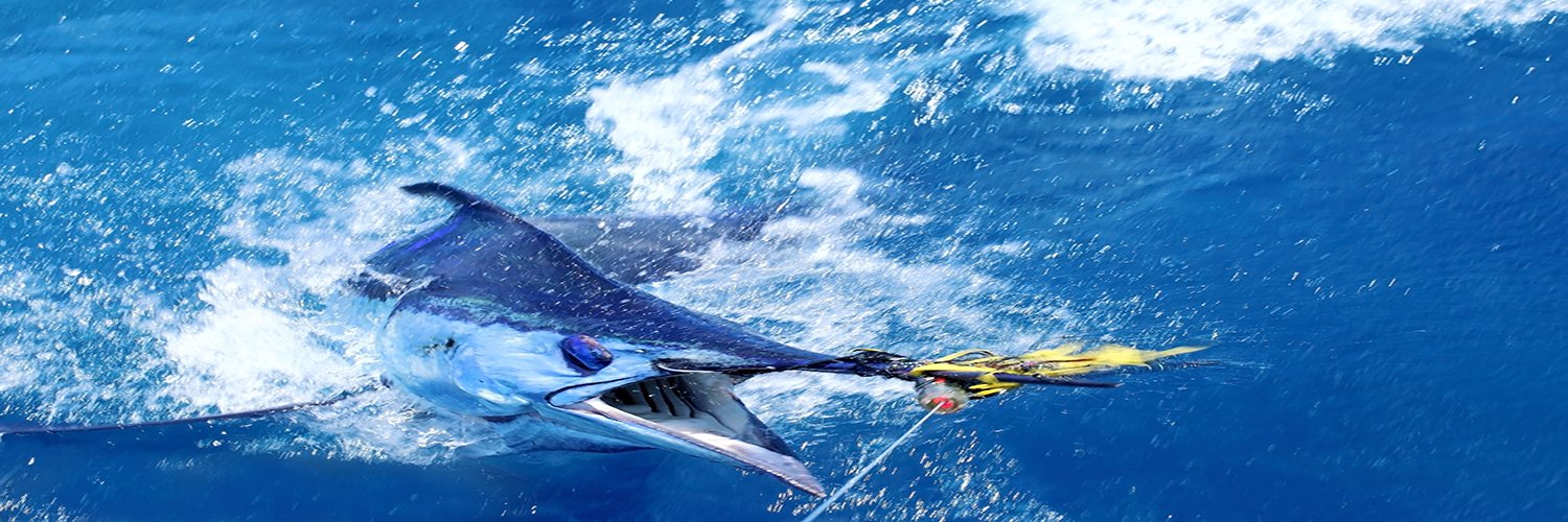 reellegendfl's profile banner image