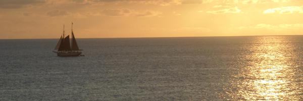 dr_teehan Profile Banner