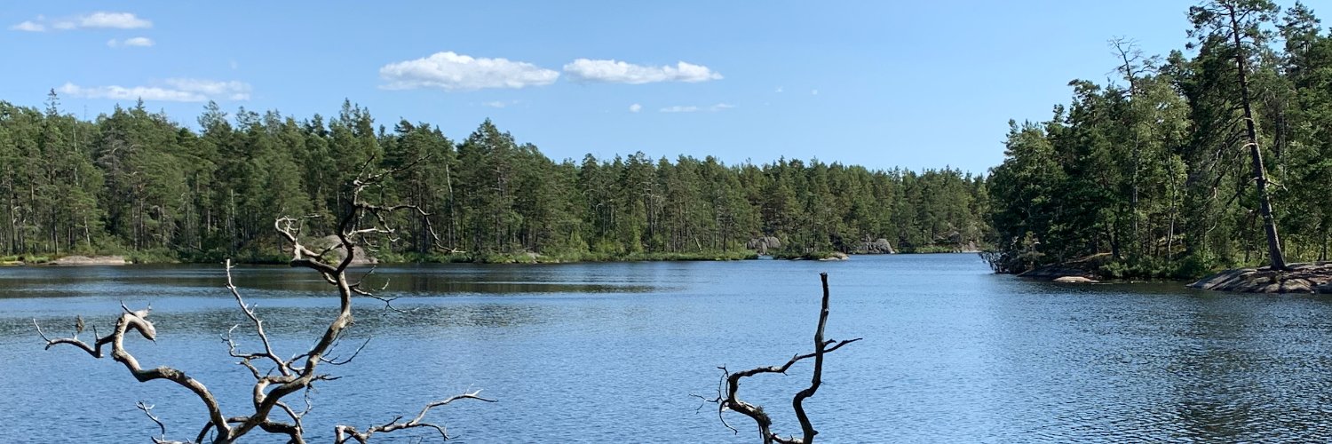 RodCelestin's profile banner image