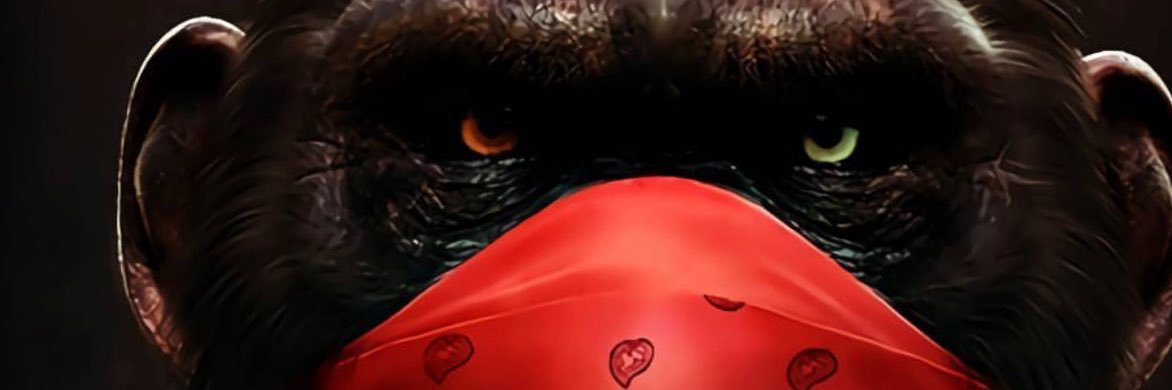 J_Rothstein's profile banner image