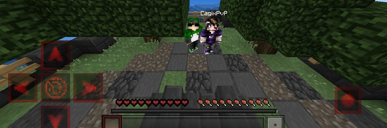 CagixPvP's profile banner image