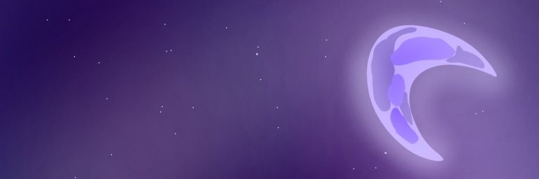 NoGenderLeaf's profile banner image