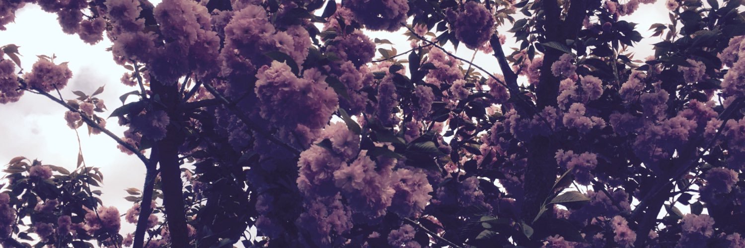 ♡ banner