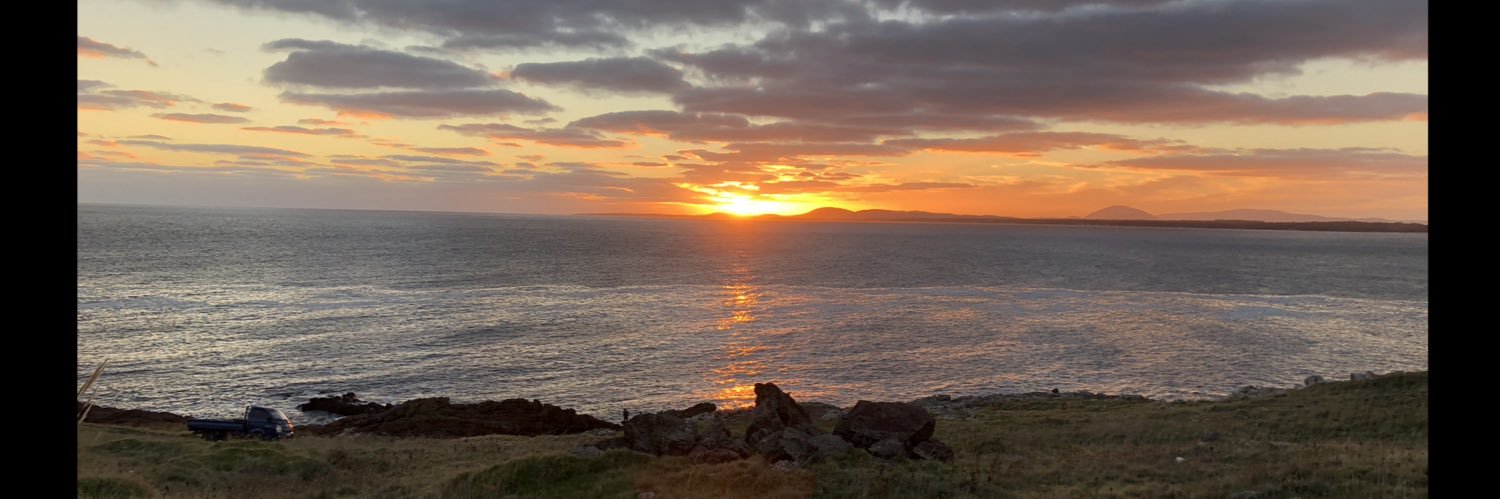 Gustavo Pavese banner