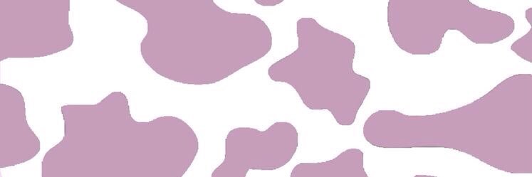BeleFarabello's profile banner image